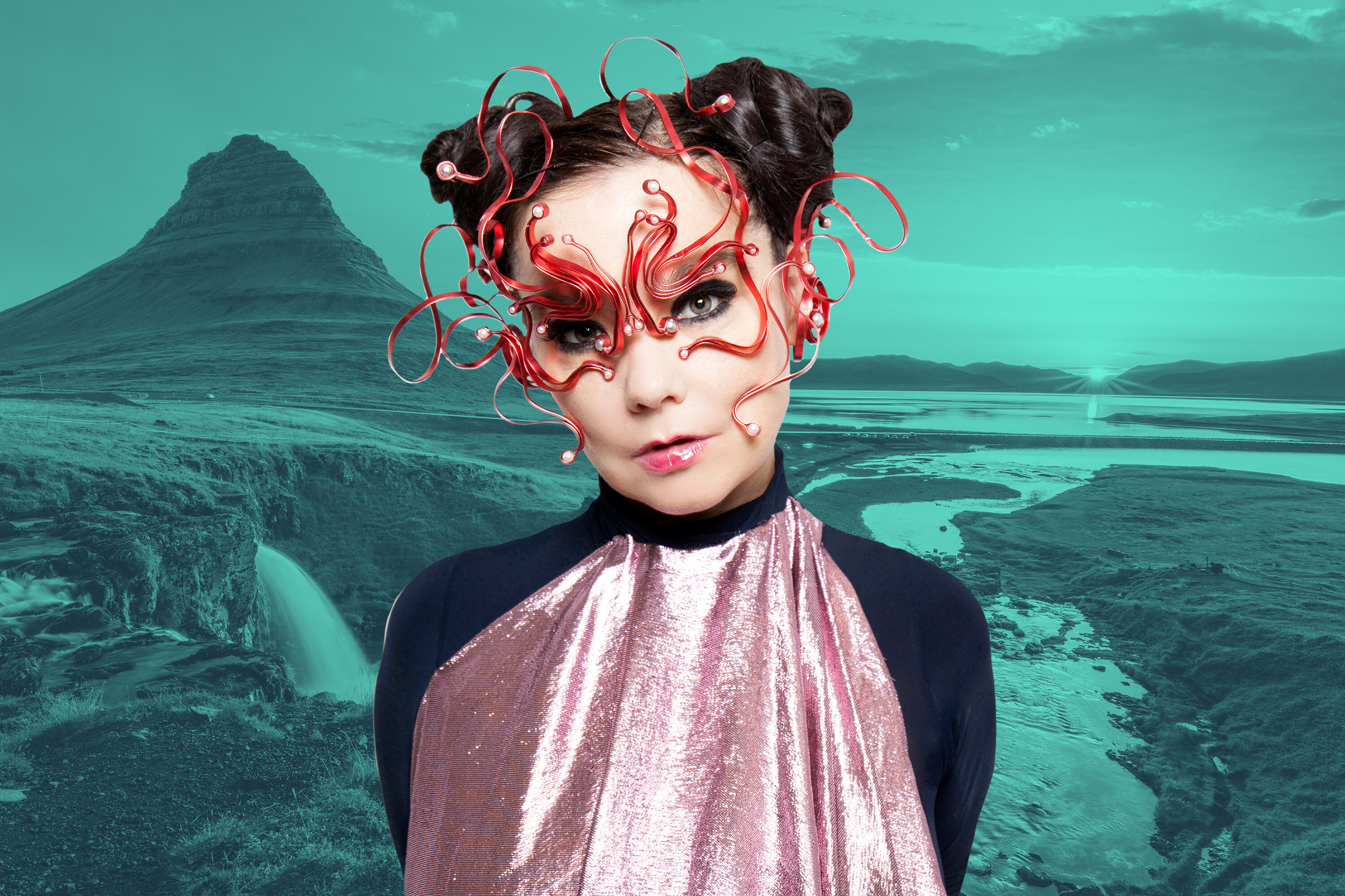 Bjork in Iceland
