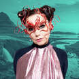 Bjork in Iceland