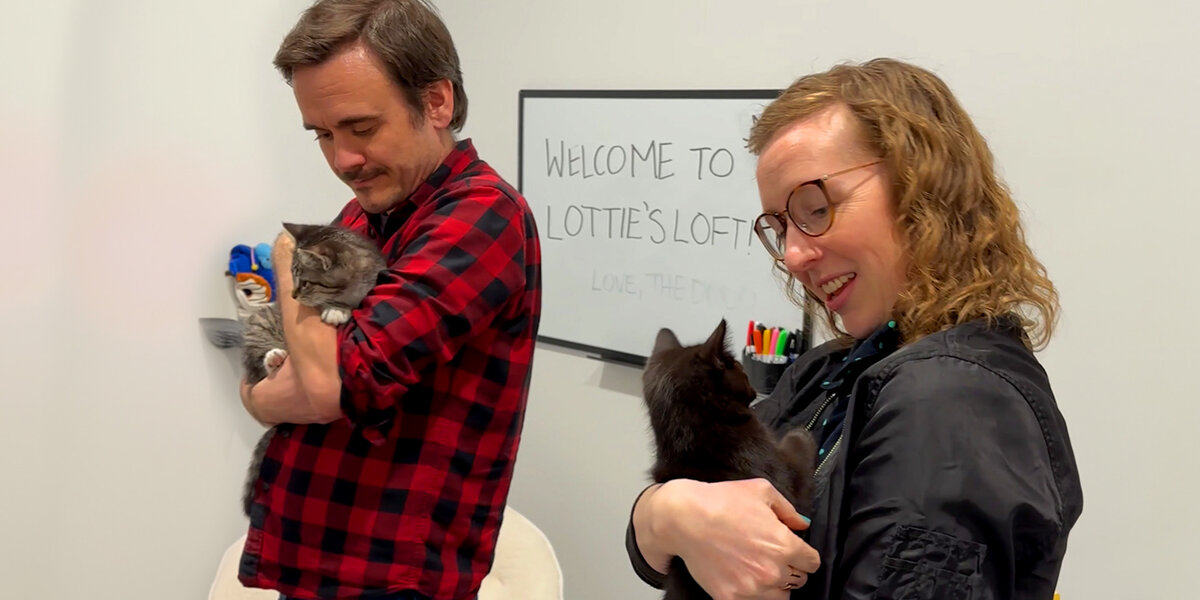 The Dodo Saw This Woman Needed Help Saving These Sick Kittens