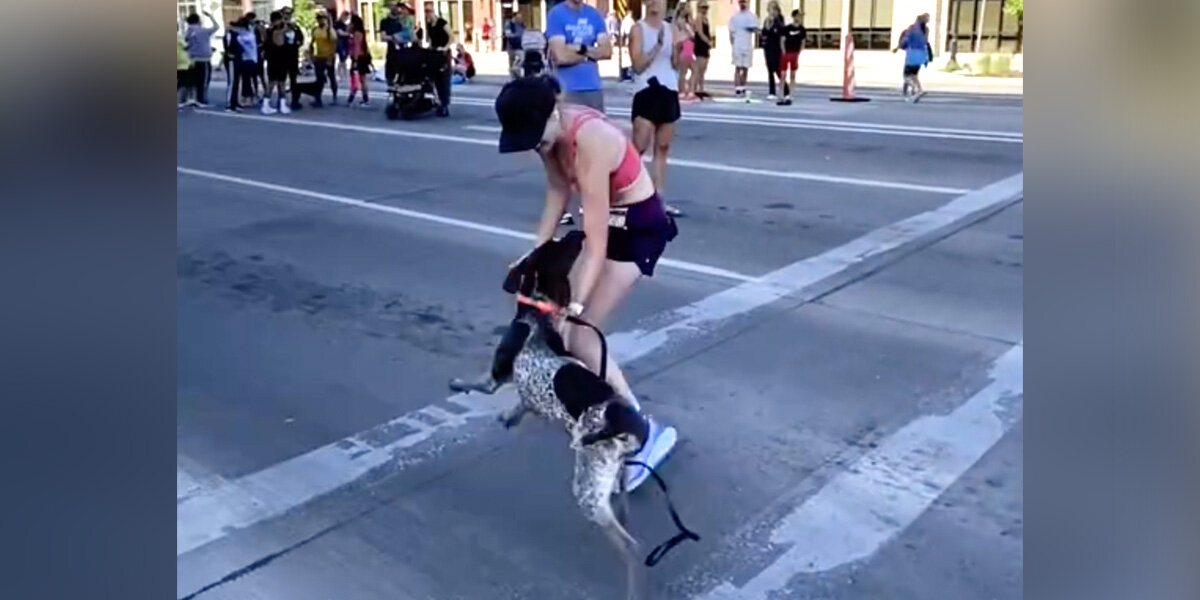 Dog Decides To Join Marathon And Crosses The Finish Line With His Mom ...