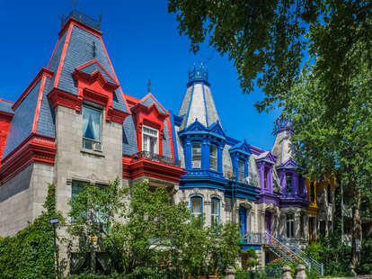 vibrantly colored townhouses on a tree-lined street in St. Louis Square