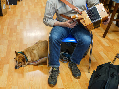 man playing accordion with a dog at his feet
