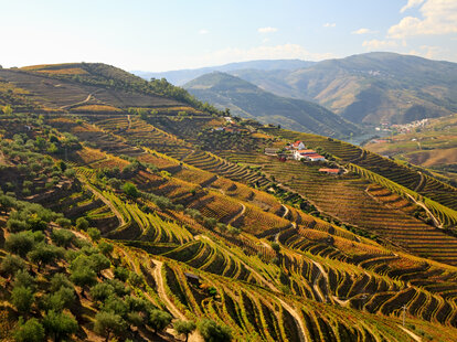 douro valley, portugal