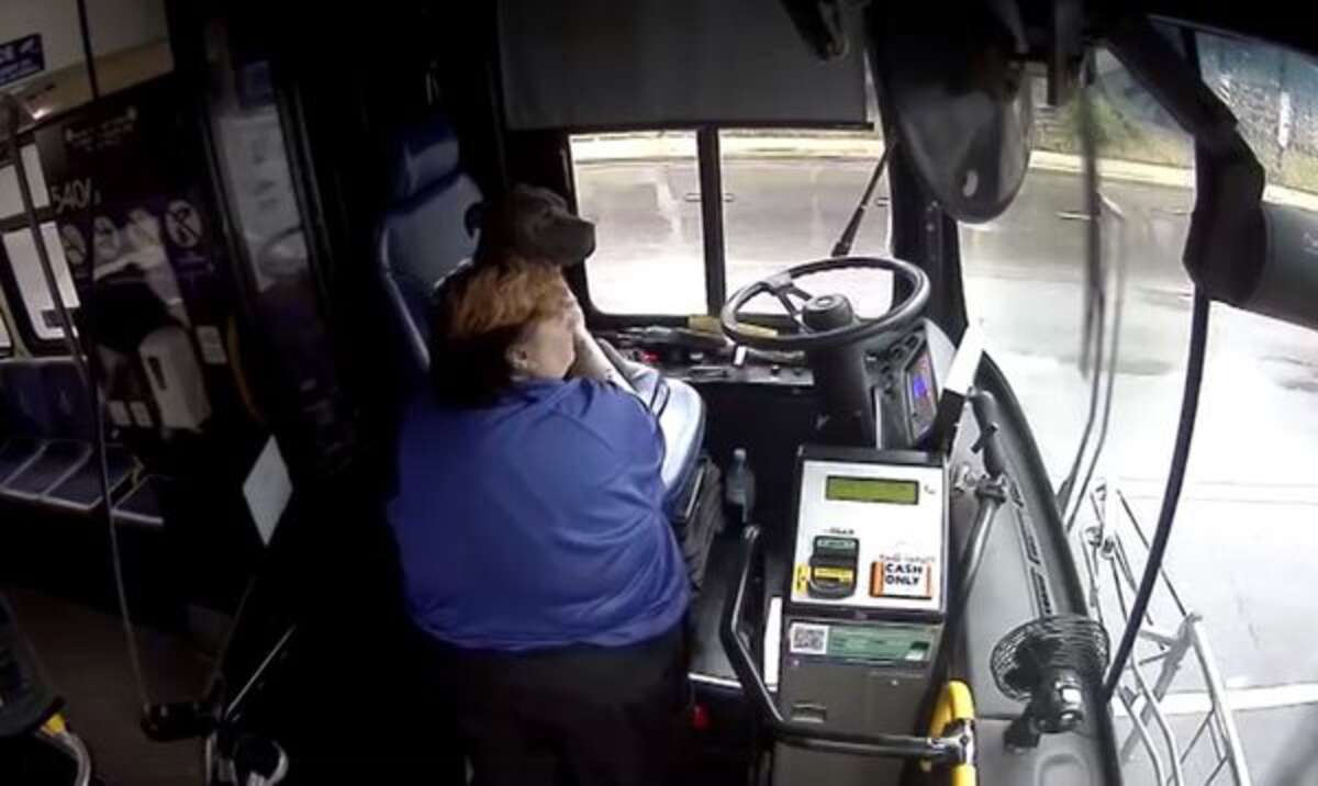 Bus Driver Does The Kindest Thing For Lost Dog Alone In The Rain - The Dodo