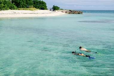 Key West snorkeling Dry Tortugas National Park