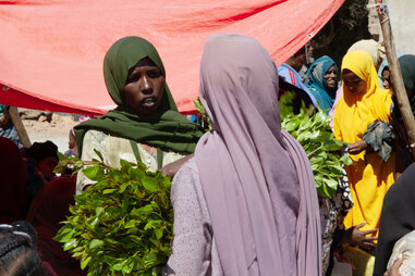 Women selling khat at the Erer Gate Market in Harar, Ethiopia.