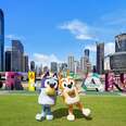 Bluey and Bingo characters standing in front of the Brisbane city sign in Australia. 