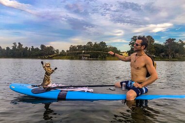 Mavi the SurferCat