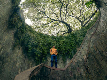 Man stands inside Fort Canning Tree Tunnel in Singapore