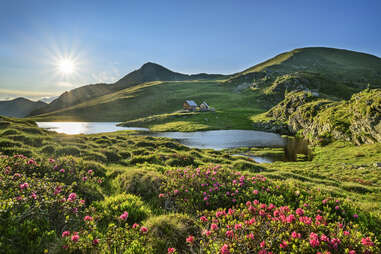 Austrian Alps