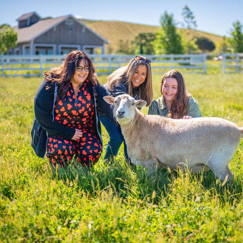 three women and a sheep at charlie's acres animal sanctuary 