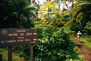 Sign in El Yunque National Rainforest stoner friendly puerto rico