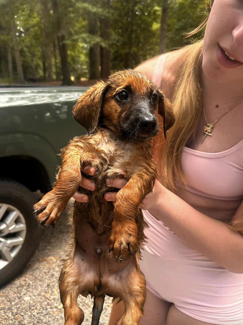 Girl holding up wet puppy