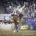 National Western Stock Show