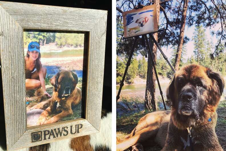 zeus dog tribute paws up resort
