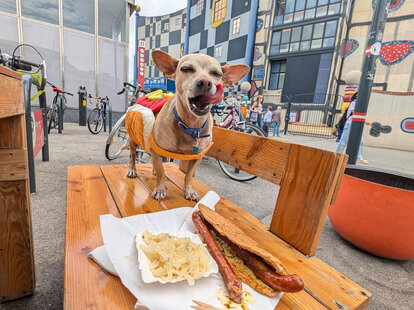 Wien, Vienna: My Wiener Dog’s Hot Dog Tasting Tour