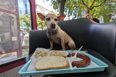 Budapest, Hungary: My Wiener Dog’s Hot Dog Tasting Tour