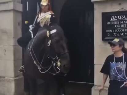 A woman standing near a horse near Buckingham Palace.