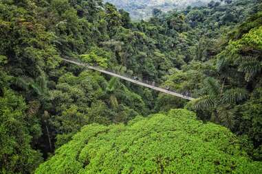 Mistico Arenal Hanging Bridges Park best suspension hikes around the world