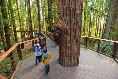 sky walk sequoia park zoo