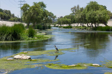 la river kayaking safari