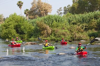 la river kayaking safari