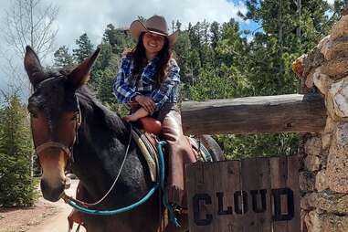head mule skinner broadmoor cloud camp on a horse