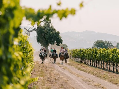 los olivos horseback riding winery