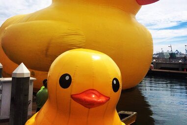 Mama Duck and her baby