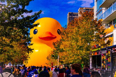 The World’s Largest Rubber Duck