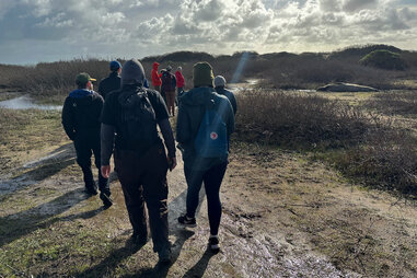 visitors on an elephant seal tour at año nuevo state park in northern california