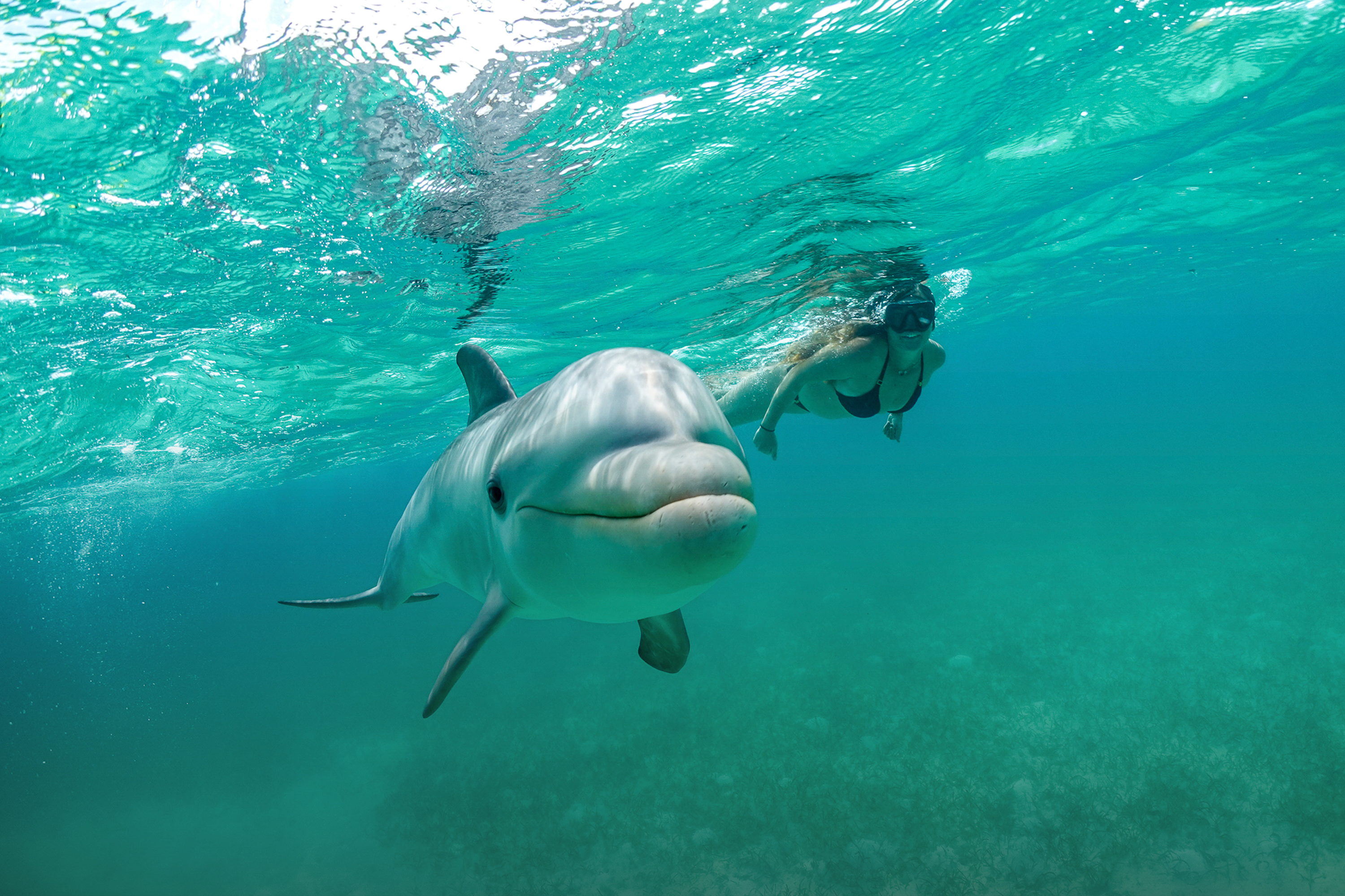 Three Perfect Days in Turks and Caicos—Without the Crowds