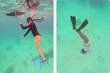 freediving lessons turks and caicos