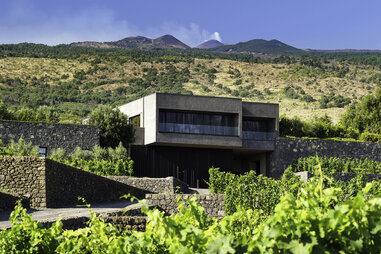 a modern building in a vineyard with a smoking volcano in the background