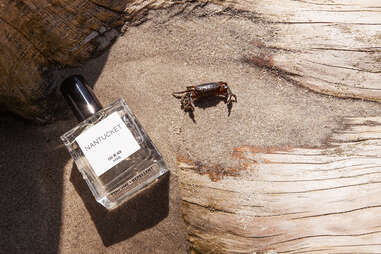 the buzz bug spray perfume