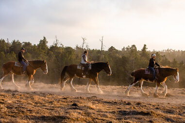 Covell Ranch highway 1 road trip