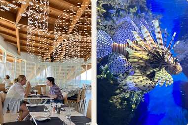 Malta National Aquarium