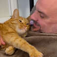 Cat Opens The Bathroom Door To Get To Dad