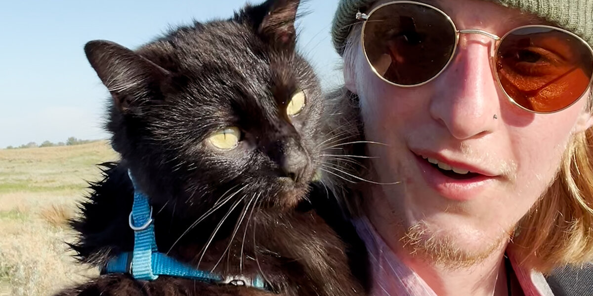 Guy Finds A Cat In A Hot Parking Lot - Videos - The Dodo