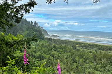 Cape Disappointment coastal view