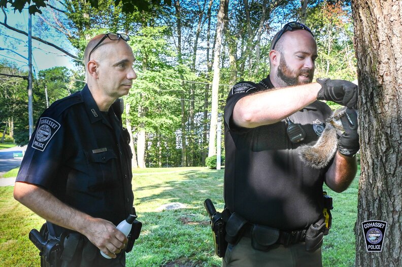 Cop Can't Help But Laugh When He Sees Who He's Been Called To Rescue ...
