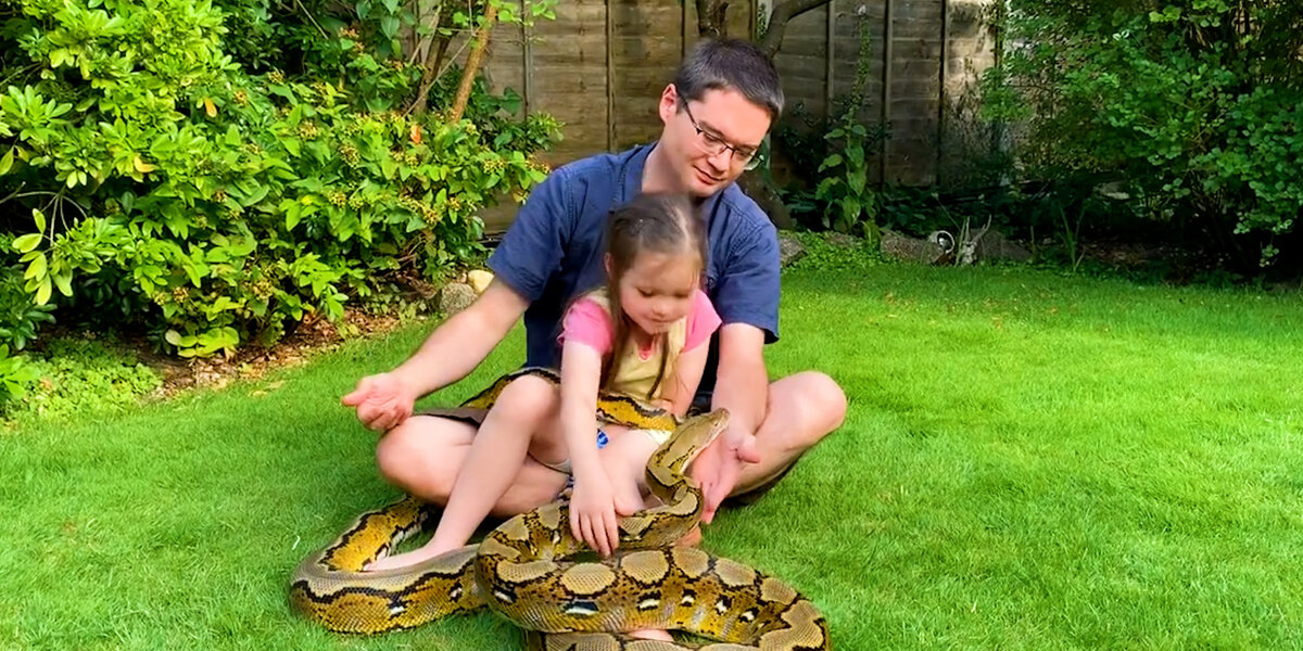 Python With Baby Little Girl Grows Up With Two Python BFFs - Videos - The Dodo