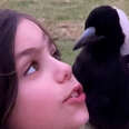 9-year-old Is Best Friends With A Wild Magpie