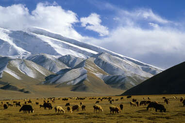 Ata Mountain, or Muztagh Ata