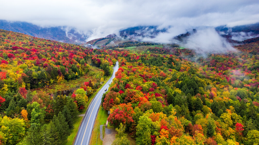 Hotel Vermont offers hotline for fall foliage forecast in Vermont