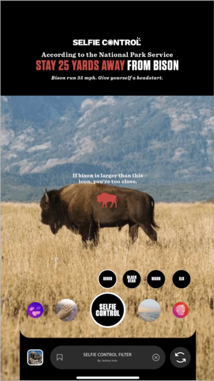 A screenshot of the new “Selfie Control” filter on Instagram, showing a bison in the field.