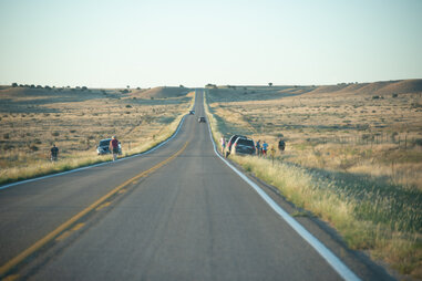 Viewing the tarantula migration