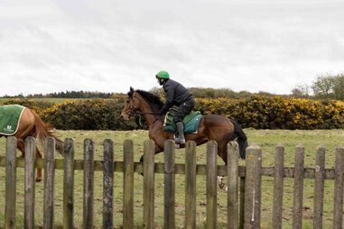 A jockey riding a horse in Curragh, Ireland.