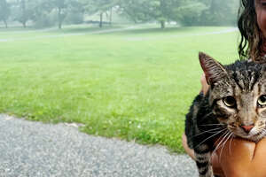 Couple's First House Comes With A Cat