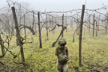 ghostly vineyard with spooky statue in torcello italy
